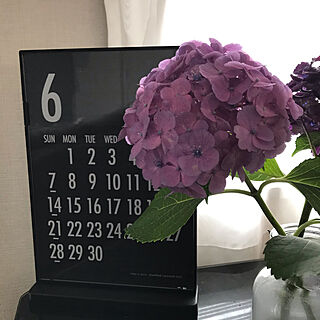 おばあちゃん/カレンダー/たそがれ/雑貨/リビングのインテリア実例 - 2020-06-18 10:28:04