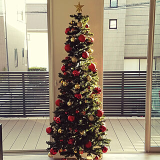 リビング/クリスマスツリー/IKEA/ツリー180㎝/Daiso...などのインテリア実例 - 2017-11-14 00:14:21