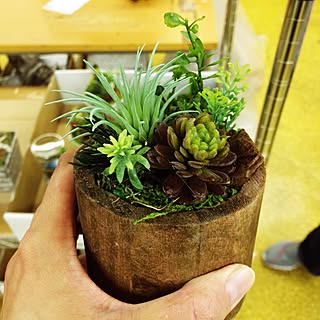 机/販売中/植物/花器/グリーン...などのインテリア実例 - 2015-07-12 22:12:20