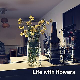 リビング/花のある暮らし/道端の花のインテリア実例 - 2017-04-09 23:21:01