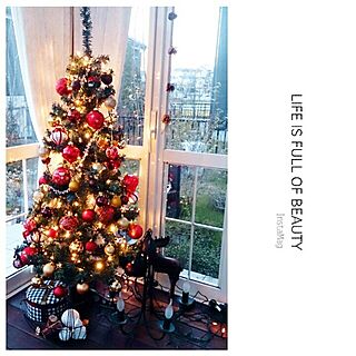 サンルーム/クリスマス/クリスマスツリーのインテリア実例 - 2014-12-25 21:45:37