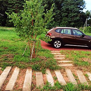 部屋全体/車/愛車/エクステリア/植物...などのインテリア実例 - 2014-08-20 20:02:26