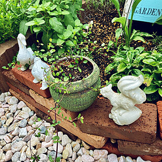 庭仕事が好き/植物のある暮らし/動物オブジェ/RCの出会いに感謝♡/見てくださってありがとう❁︎...などのインテリア実例 - 2021-07-31 09:12:34