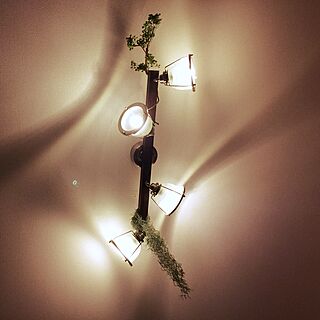 壁/天井/ニコアンド/照明のインテリア実例 - 2017-06-13 20:55:22