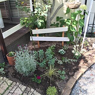 ベッド周り/植物/ガーデニング/ガーデン/手作りの庭...などのインテリア実例 - 2016-06-03 16:48:13