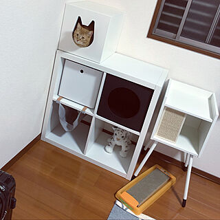 ペットルーム/猫部屋/犬部屋/IKEAのインテリア実例 - 2020-02-15 15:32:47