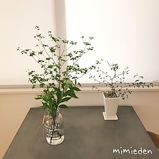 mimiedenさんの実例写真