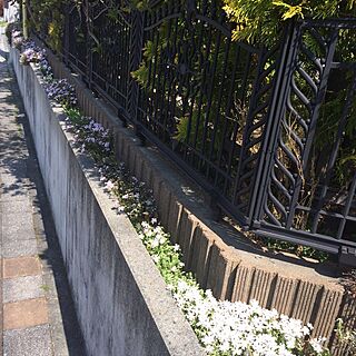 机/芝桜のインテリア実例 - 2017-04-25 10:13:39