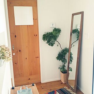 玄関/入り口/植物/観葉植物/無垢床材/このドアはトイレですのインテリア実例 - 2015-11-13 11:11:06