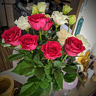 部屋全体/生花のある暮らし/とるこききょう/赤い薔薇が咲いたよ/バラ...などのインテリア実例 - 2021-03-26 19:08:46