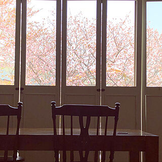 部屋全体/アンティークチェア/1969組/桜/窓からの眺め...などのインテリア実例 - 2018-04-04 08:52:53