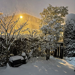 雪景色の庭/花のある暮らし/季節を楽しむ暮らし/優しいフォロワーさんに感謝♡﻿/和モダンに憧れる...などのインテリア実例 - 2021-01-09 11:20:35