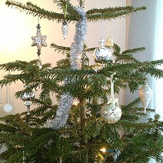 リビング/Christmas/christmas tree/living roomのインテリア実例 - 2012-12-26 21:08:50