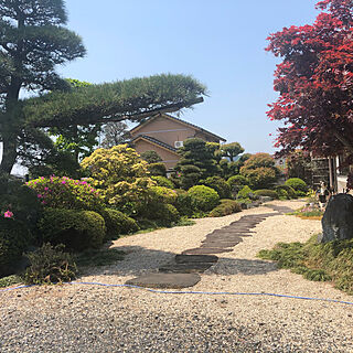 日本庭園/日本文化のある暮らし/玄関/入り口のインテリア実例 - 2020-11-13 18:54:41