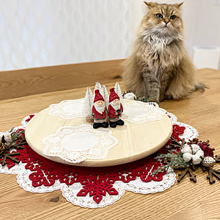 Xmasディスプレイ/Xmas/猫と暮らす/猫と暮らす家/ナチュラル...などのインテリア実例 - 2021-12-05 16:25:46