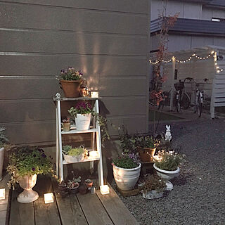 自転車小屋DIY/お庭のお花♡/LEDガーデンライト/ライトアップ/玄関のライトアップ...などのインテリア実例 - 2021-11-01 23:30:37