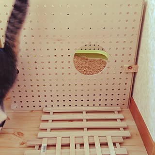 バス/トイレ/DIY/猫/猫トイレ/猫トイレカバー...などのインテリア実例 - 2015-04-03 15:37:11