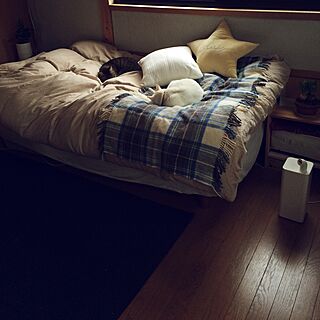 ベッド周り/catsのインテリア実例 - 2016-02-24 16:22:12