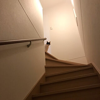 猫のいる暮らし/階段/ねこのいえ/壁/天井のインテリア実例 - 2019-04-18 21:25:13