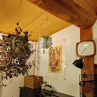 壁/天井/観葉植物/IKEA/子どもの作品は壁に/子どもの作品もインテリアのインテリア実例 - 2023-08-17 19:40:09