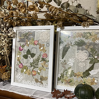 押し葉のインテリア実例 Roomclip ルームクリップ