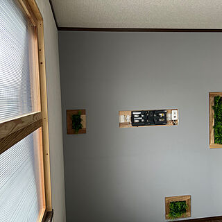 壁/天井/DIY/フェイクグリーンのインテリア実例 - 2024-03-28 21:56:29