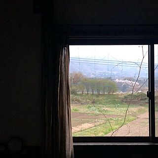 窓からの眺め/2022年/寝室/春/４月...などのインテリア実例 - 2022-04-14 08:59:17
