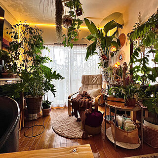 ボタニカルな空間/植物のある暮らし/癒される空間/団地インテリア/植物いっぱい...などのインテリア実例 - 2023-04-07 14:38:33