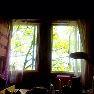 ベッド周り/子供部屋/カーテン/窓からの眺めのインテリア実例 - 2013-05-30 12:54:10