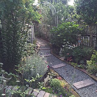 ベッド周り/植物/手作りの庭/ガーデニング/ガーデン...などのインテリア実例 - 2016-06-12 07:26:29