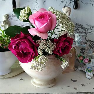 棚/オデュッセイア/バラが好き/ライスフラワー/ピンクの薔薇は名前分かりませんのインテリア実例 - 2017-05-21 10:29:45