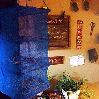 キッチン/壁にかける/観葉植物/黒板DIY/干してる途中…...などのインテリア実例 - 2015-05-03 23:58:14