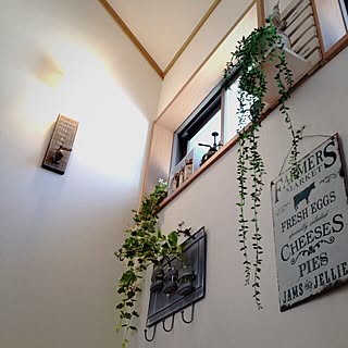 壁/天井/蛇口部♡/3COINS雑貨/salut !/植物...などのインテリア実例 - 2014-02-22 15:48:00