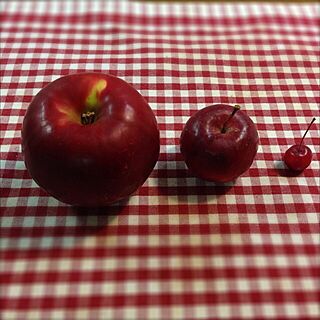 りんご部/りんご/乙女りんご/姫りんごのインテリア実例 - 2013-12-01 18:19:40
