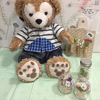 部屋全体/2017.6.27/くまさん♡/ドライアレンジ✲ﾟ/ハンドメイド♡...などのインテリア実例 - 2017-06-27 17:01:48