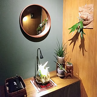 壁/天井/壁紙/古い家を好きになるDIY/植物のある暮らし/ヴィンテージラグ...などのインテリア実例 - 2022-07-05 05:45:15