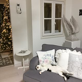 リビング/愛い奴/ZARA HOME/ニャビーシック/NO CAT,NO LIFE❤️...などのインテリア実例 - 2016-12-03 23:48:17