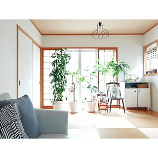 部屋全体/和室/シンプルな暮らし/こどもと暮らす。/観葉植物...などのインテリア実例 - 2019-06-14 11:31:53