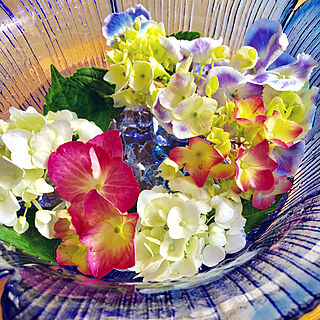 花のある暮らし/花の写真/花が好き♪/花　花器/紫陽花...などのインテリア実例 - 2020-04-28 11:09:38