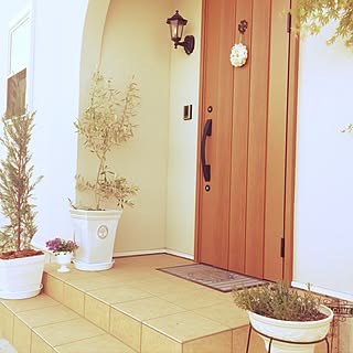 ユーカリ鉢植えのインテリア実例 Roomclip ルームクリップ ユーカリ鉢植えのインテリア実例 Roomclip ルームクリップ