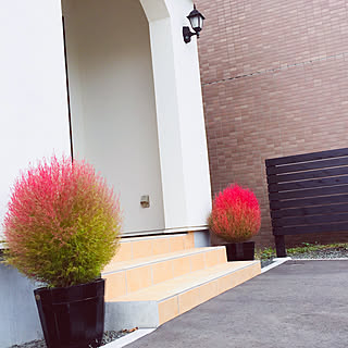 ガーデニング コキアのおしゃれなインテリア 部屋 家具の実例 Roomclip ルームクリップ ガーデニング コキアのおしゃれなインテリア 部屋 家具の実例 Roomclip ルームクリップ