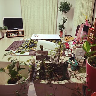 部屋全体/北欧ヴィンテージ/観葉植物/和家具/わんこと暮らす...などのインテリア実例 - 2016-05-06 21:54:38