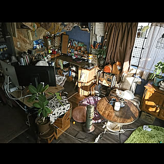 部屋全体/猫/スマートリモコン/Nature Remo mini/賃貸...などのインテリア実例 - 2020-02-13 15:54:26