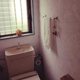 壁/天井/トイレ/DIY/漆喰を塗った壁のインテリア実例 - 2014-09-19 16:19:27