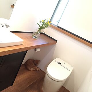 バス/トイレ/猫 好きな場所のインテリア実例 - 2016-07-30 11:02:11