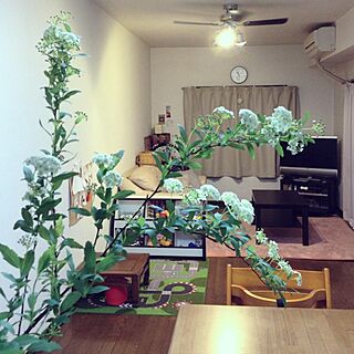 部屋全体/植物/こども/おもちゃ収納/ダイニングのインテリア実例 - 2013-03-24 22:53:32