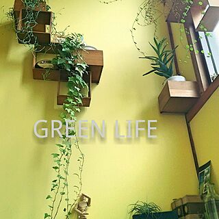 壁/天井/リノベーション/green/植物/窓辺...などのインテリア実例 - 2017-05-10 20:53:55