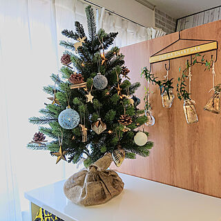 棚/クリスマスツリー/観葉植物/クリスマスツリー90cm/クリスマスのインテリア実例 - 2019-12-16 02:45:31