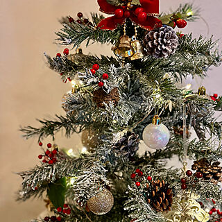 リビング/クリスマスツリーアレンジ/ナチュラル/クリスマス/クリスマスツリー...などのインテリア実例 - 2023-12-24 15:33:18