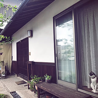 雨上がり/和風な玄関/和風な庭/和風住宅/玄関引き戸...などのインテリア実例 - 2022-08-21 08:36:49